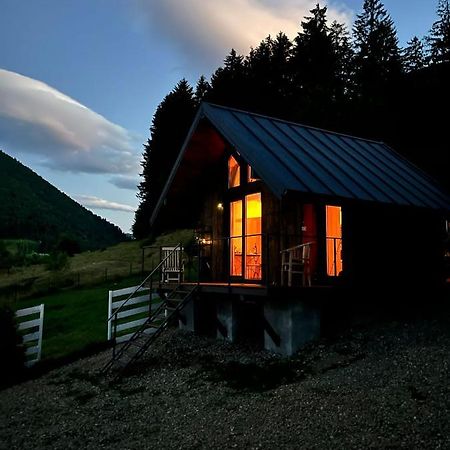 Villa Bramble Tiny House Zărneşti Exterior foto