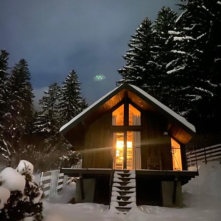 Villa Bramble Tiny House Zărneşti Exterior foto