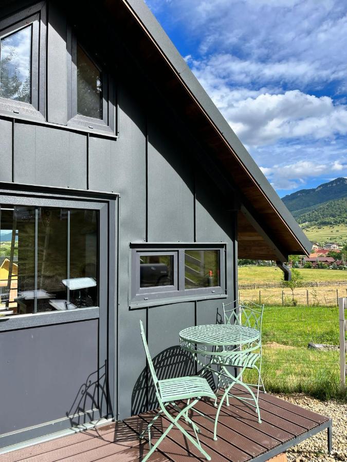 Villa Bramble Tiny House Zărneşti Exterior foto